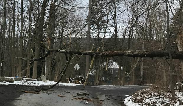 Nor'east storm damage -- Yorktown 