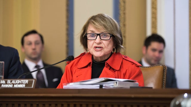 louiseslaughter-ap-070607069906.jpg 