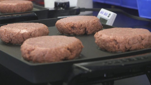 yuccas-fake-meat-fight-needs-gfx-frame-1947.jpg 