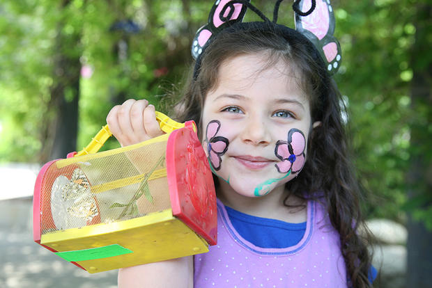 Annual Butterfly Season-Kidspace Children's Museum 