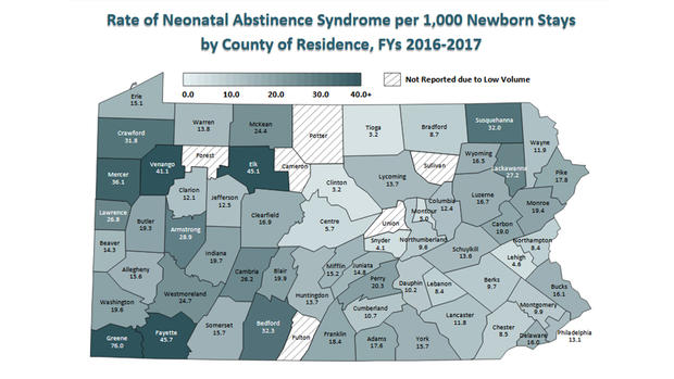 newborn opioid map 