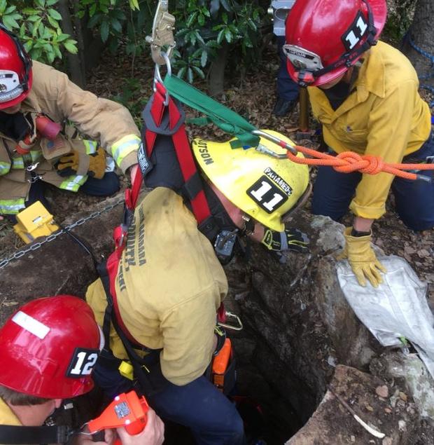 Santa Barbara Gardener Survives 60-Foot Fall In Abandoned Well 