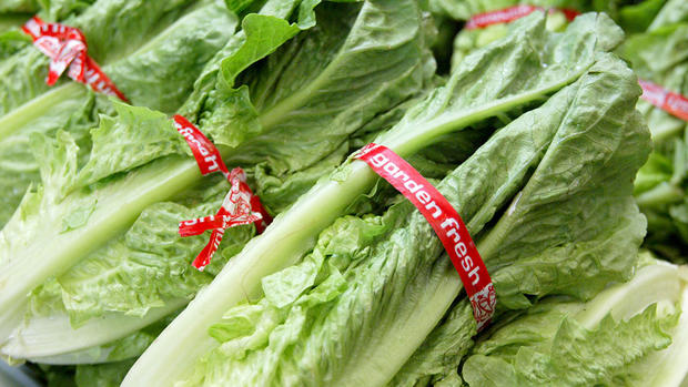 Traces Of Toxic Chemical Found In California Lettuce 
