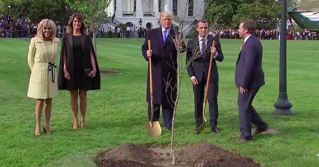 White House mystery solved: Where is Macron's gifted oak tree? - CBS News