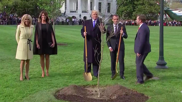 mpx-trump-macron-tree-1553756-640x360.jpg 