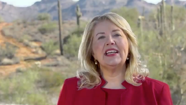 Debbie Lesko 