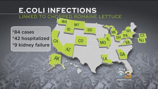 e coli outbreak from romaine lettuce 