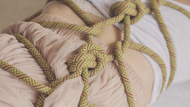 Japanese technique shibari 