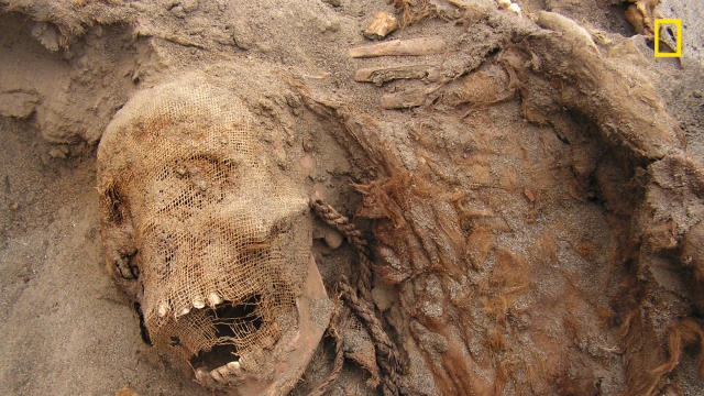 Exclusive: Ancient Mass Child Sacrifice in Peru May Be World's Largest