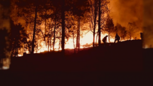 fire.png 