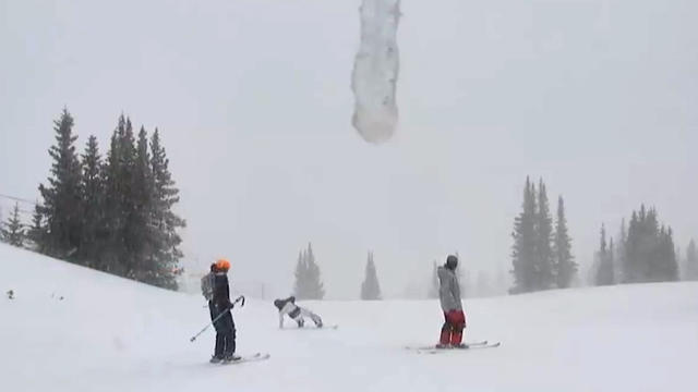 ski.jpg 