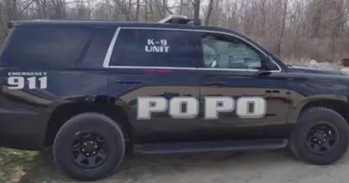 #PoPo not #PooPoo Police Onesie