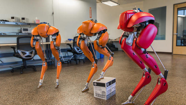 bipedal-robots.jpeg 