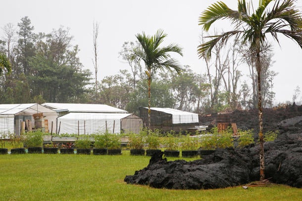Lava cools in a resident's yard in the Leilani Estates subdivision during ongoing eruptions of the Kilauea Volcano 