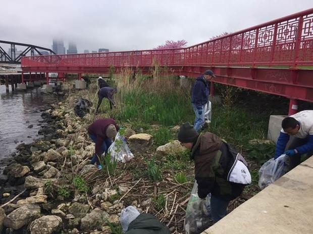 Chicago River Cleanup 2018 