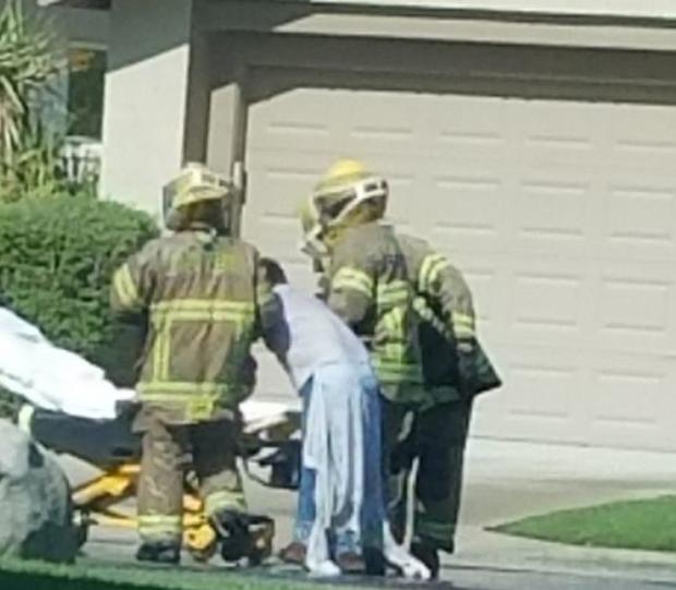 4 Wounded After Being Swarmed By Bees In Palm Desert 