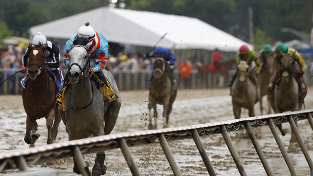 Black Eyed Susan Horse Race 