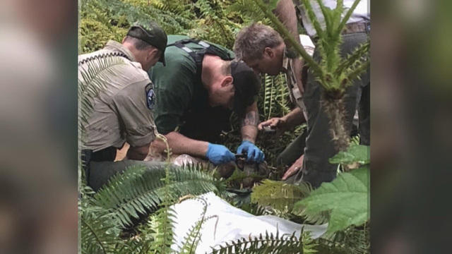 S.J. Brooks of Seattle is seen in a photo obtained by CBS affiliate KIRO-TV. 