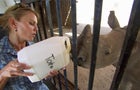 ot-rhino1feedingbabyrhino-1578540-640x360.jpg 
