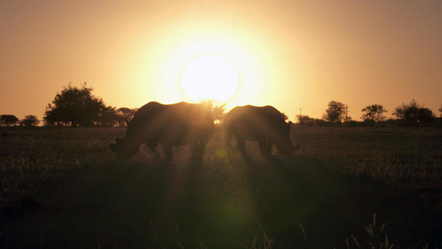 hume-ranch-sunset.jpg 
