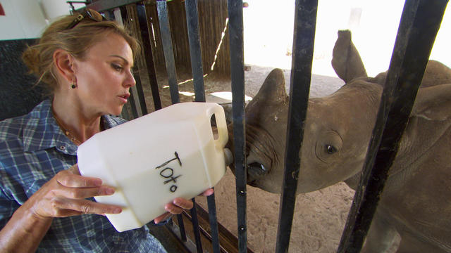 ot-rhino1feedingbabyrhino.jpg 