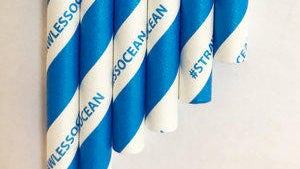 strawless-ocean-aardvark-paper-straw.jpg 
