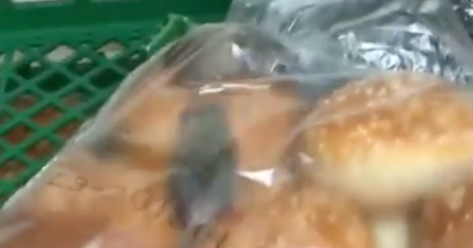 Video of rats running through bag of Burger King buns prompts shutdown