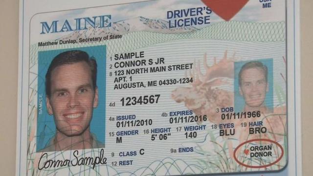 maine-license.jpg 