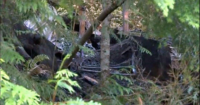 Brinnon, Washington 5 people killed in cabin explosion CBS News