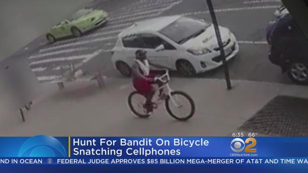 Bicycle Bandit 