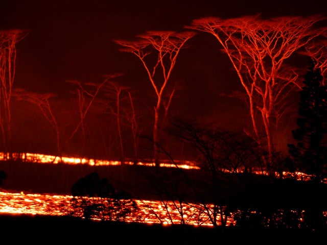 The Wider Image: Cut off by lava, pot growers refuse to let go dream 