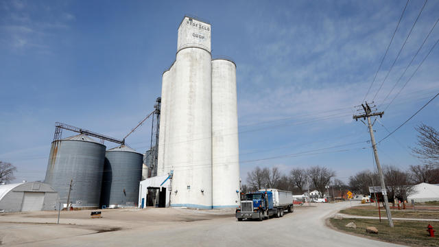 Farming Iowa's Prairie Strips 