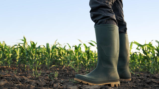Farmer in rubber boots standing in the field 