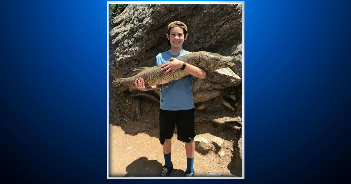 Boy Catches Huge Fish In Little Evergreen Lake - CBS Colorado