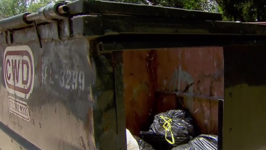 dumpster2.png 
