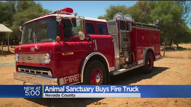 fire-truck-animal-sanctuary.jpg 