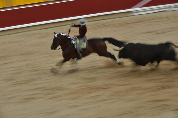Spain Running of the Bulls Festival 