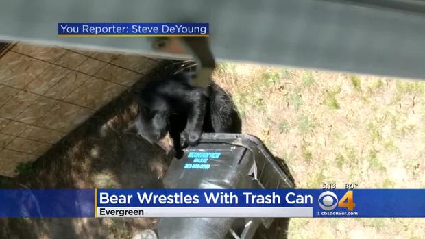 bear trash 