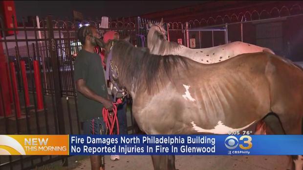 2 Horses Removed From Stable After Fire Breaks Out Nearby In North Philadelphia 
