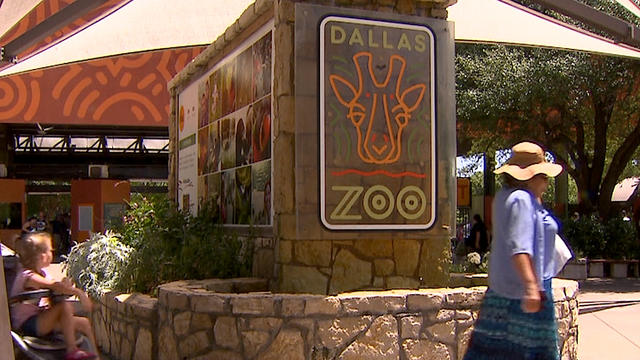 dallas-zoo.jpg 