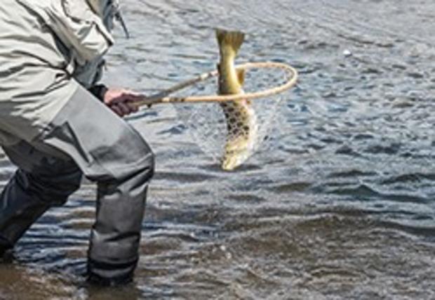 River Fishing Bans 1 (CPW) 