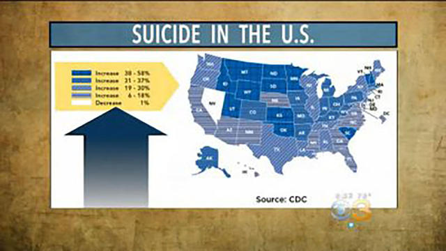 suicide-map.jpg 