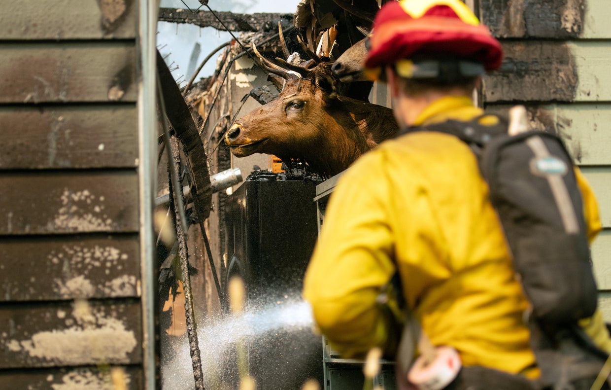 northern california widlfires 