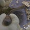 Cashing in your mutilated money