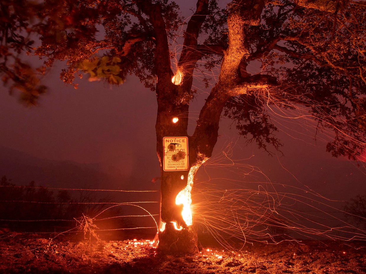 California Wildfires 