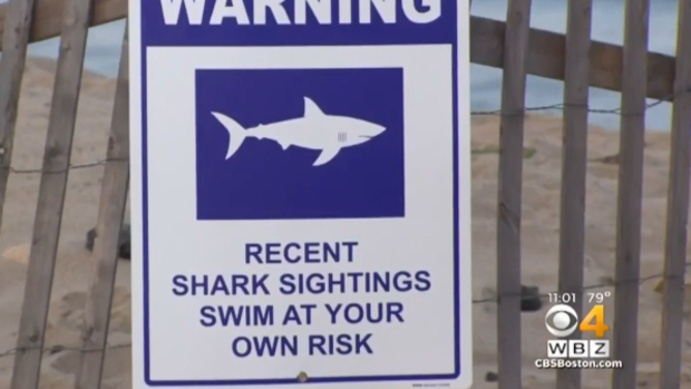Shark attacks (WARNING: GRAPHIC IMAGES) 