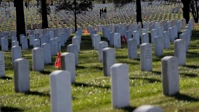 Veterans Day Observed At Arlington National Cemetery 
