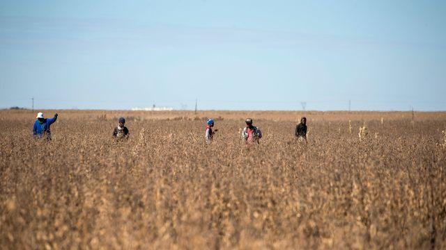 cbsn-fusion-trump-dives-into-south-africas-land-debate-regarding-seizures-farmer-killings-thumbnail-1641999-640x360.jpg 