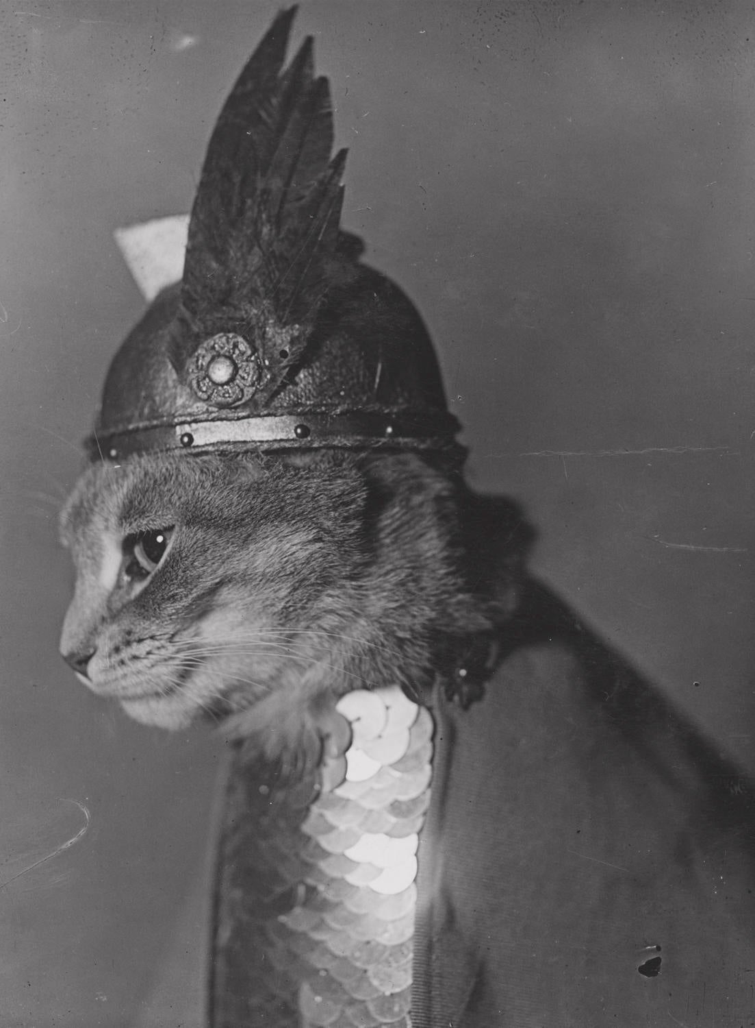 An American photo album, from the Library of Congress