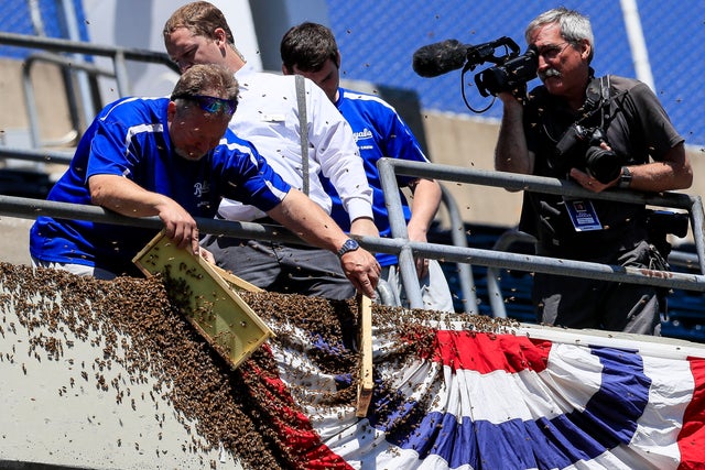 Cleveland Indians v Kansas City Royals 